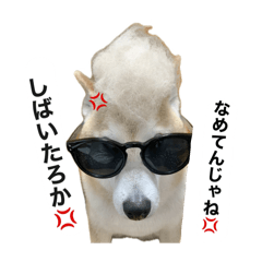 [LINEスタンプ] ヤン柴0