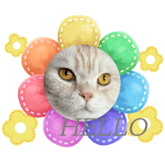 [LINEスタンプ] おでぶのそらくん