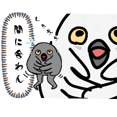 [LINEスタンプ] キモかわ鳥さんスタンプ