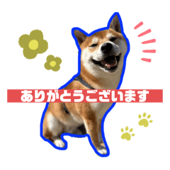 [LINEスタンプ] 竹中家の愉快な仲間たち2
