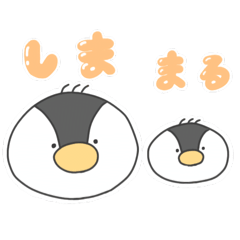 [LINEスタンプ] ペンギンのしまとまる