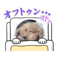 [LINEスタンプ] 愛犬レオスタンプ