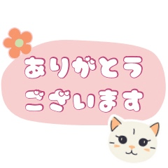 [LINEスタンプ] 動物シリーズ―猫