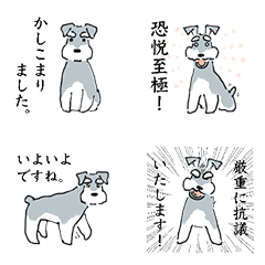 [LINEスタンプ] 恐悦至極なシュナウザー犬サンデー