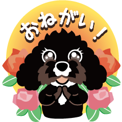 [LINEスタンプ] トイプードルMIX・パルー実用編