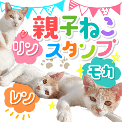 [LINEスタンプ] いつでも使える親子ねこスタンプ