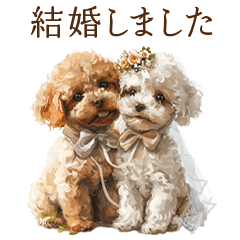 [LINEスタンプ] 結婚報告、結婚祝いのトイプードルスタンプの画像（メイン）