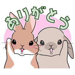 [LINEスタンプ] ふぅじぃみぃのん うさぎハウス Vol.01