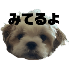 [LINEスタンプ] もやしの日常2の画像（メイン）