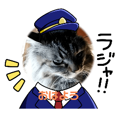 [LINEスタンプ] カワチイニャンズたちの画像（メイン）