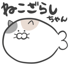 [LINEスタンプ] ねこざらしちゃん