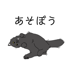 [LINEスタンプ] 黒猫のシャル