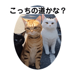 [LINEスタンプ] こっちの道かな？