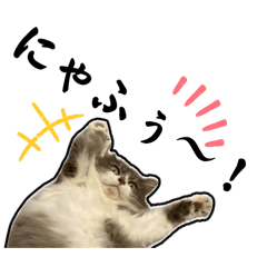 [LINEスタンプ] ハナビの日常①