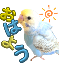 [LINEスタンプ] インコのレモン スタンプ