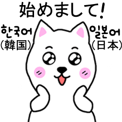 [LINEスタンプ] かわいい 白柴 (韓国語-日本語)の画像（メイン）