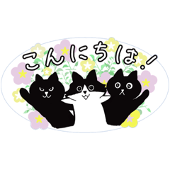 [LINEスタンプ] 仲良しネコ兄弟