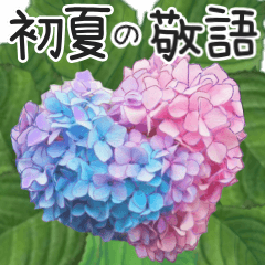 [LINEスタンプ] 初夏の紫陽花の花 敬語/挨拶