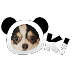 [LINEスタンプ] ロングコートチワワ虎之助