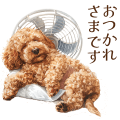 [LINEスタンプ] 夏に使えるトイプードル子犬のスタンプ