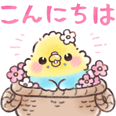 [LINEスタンプ] ふんわりインコちゃんの敬語⭐︎水彩タッチ