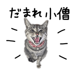 [LINEスタンプ] すうとおはぎ