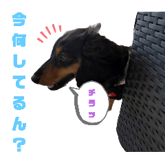 [LINEスタンプ] コツ5の画像（メイン）