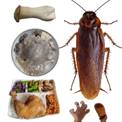 [LINEスタンプ] 大きなゴキブリが食べる