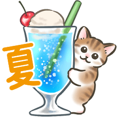 [LINEスタンプ] 夏・毎日☆猫たちのスタンプ