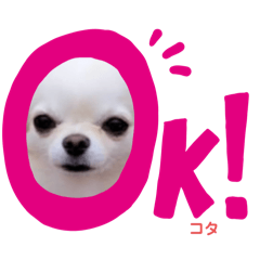 [LINEスタンプ] ♡挨拶上手なコタローくん♡