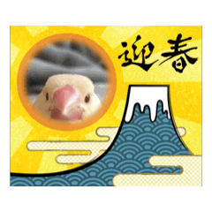 [LINEスタンプ] 文鳥のブチョー2