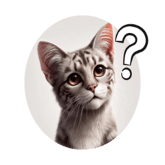 [LINEスタンプ] 感情チェックイン