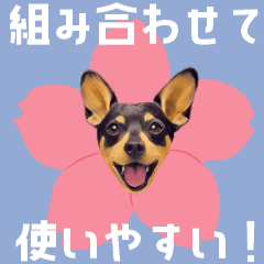 [LINEスタンプ] 組み合わせできて動く！ミニピン祭りpart.7