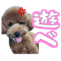 [LINEスタンプ] 瑞慶山家の次男ロッティくん