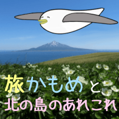 [LINEスタンプ] 旅かもめと北の島のあれこれ