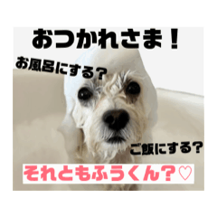 [LINEスタンプ] ふうくんの動きまくるスタンプ