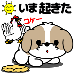 [LINEスタンプ] 動く！シーズー「いま何してる」