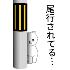 [LINEスタンプ] レアケースでも使えるスタンプ