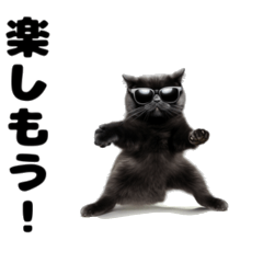 [LINEスタンプ] サングラスの猫のスタンプ