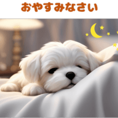 [LINEスタンプ] マルチーズ子犬ぬいぐるみの楽しい時間