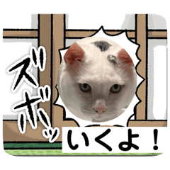 [LINEスタンプ] いえねこさん！