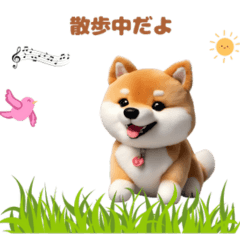 [LINEスタンプ] 柴犬コロ「いま何してる？」