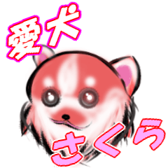 [LINEスタンプ] 愛する我が家のかわいい犬