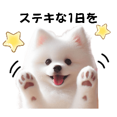 [LINEスタンプ] 大人かわいい犬のスタンプ（日常敬語）