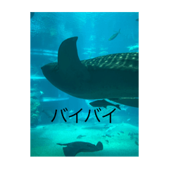 [LINEスタンプ] 生き物大スタンプ第二弾