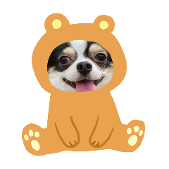 [LINEスタンプ] ロングコートチワワ虎之助2