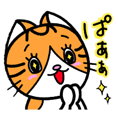 [LINEスタンプ] ねこ日和 キジシロ編