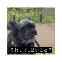 [LINEスタンプ] うごくよ！宇宙人のネコ（犬）