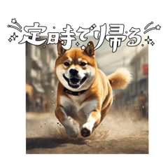 [LINEスタンプ] 感情豊かな柴犬モモちゃん