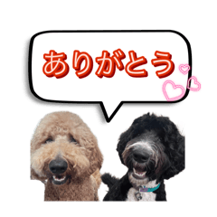 [LINEスタンプ] オデカーズ